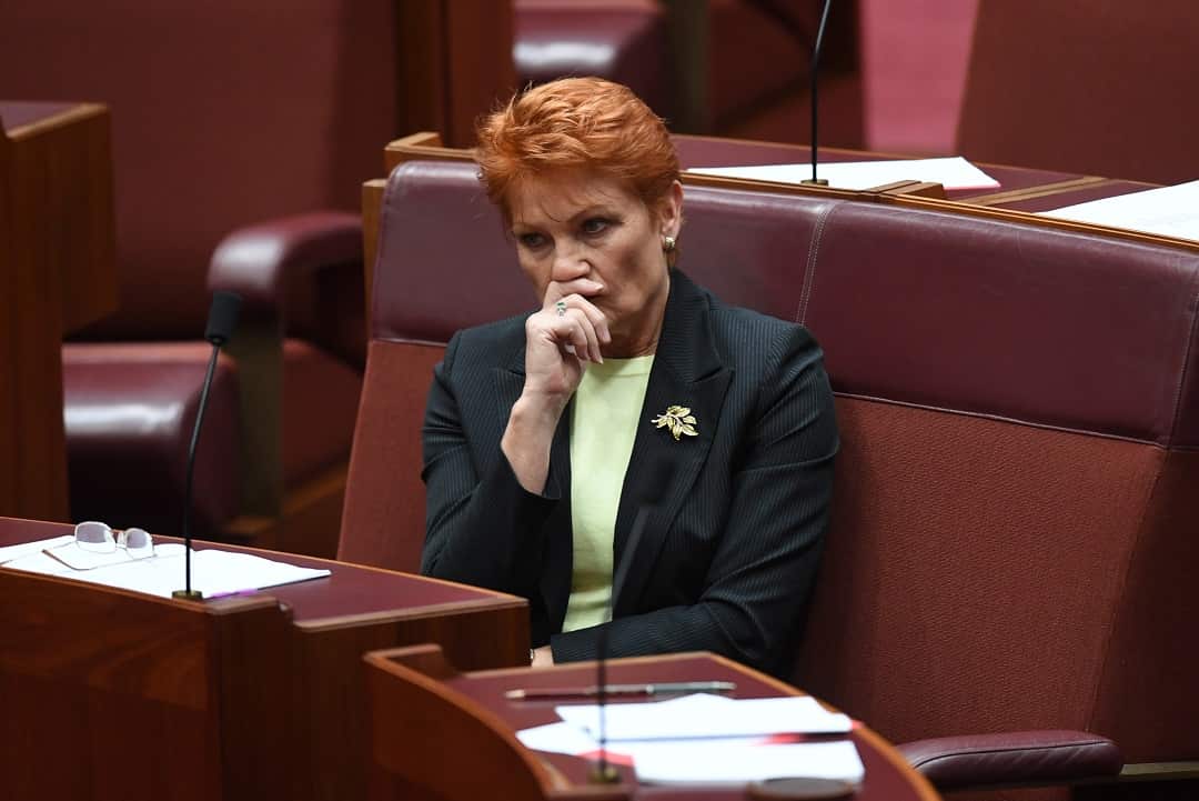 One Nation party leader Pauline Hanson reacts during debate in the Senate chamber at Parliament House in Canberra, Monday, August 20, 2018.  (AAP Image/Lukas Coch) NO ARCHIVING