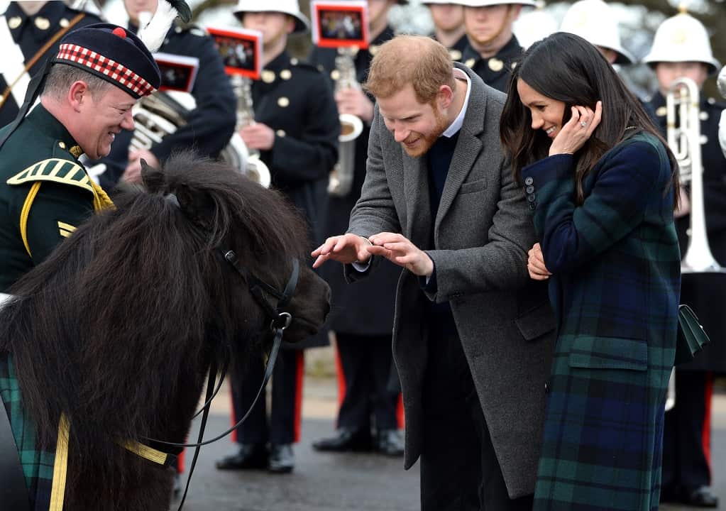 It's predicted that Prince Harry and Meghan Markle will have a happy wedding. 