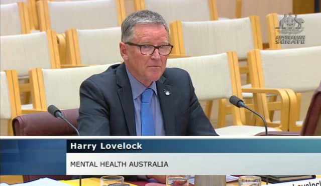 Mental Health Australia's HarryLock fronted the inquiry.