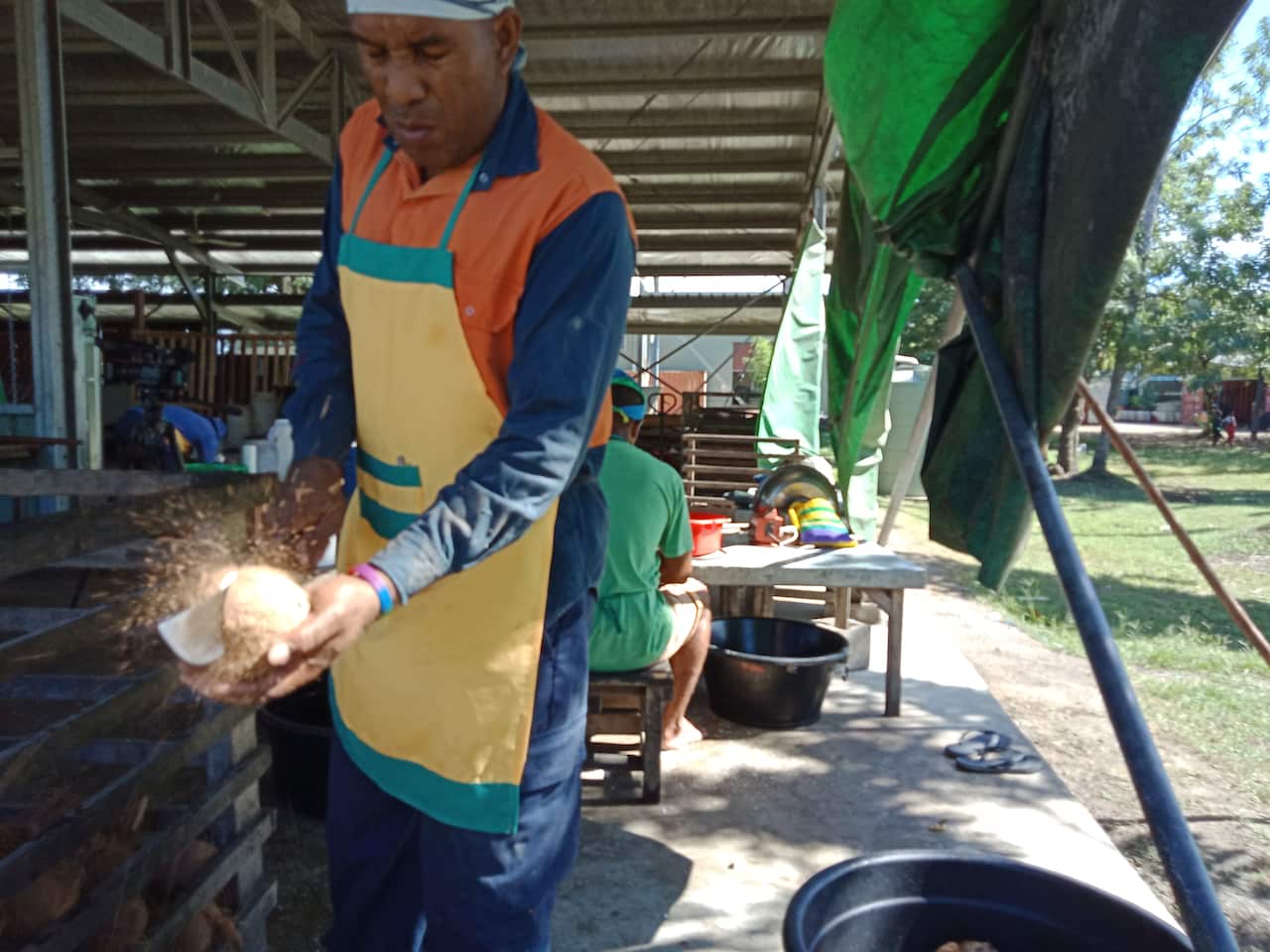 ‘Changing lives’ with coconuts