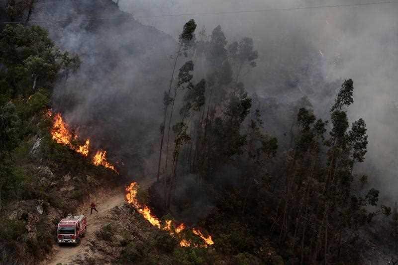 Firefighters fight a forest fire in northern Portugal.