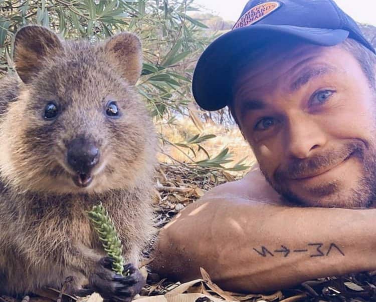 Celebrities have driven the 'quokka selfie' craze