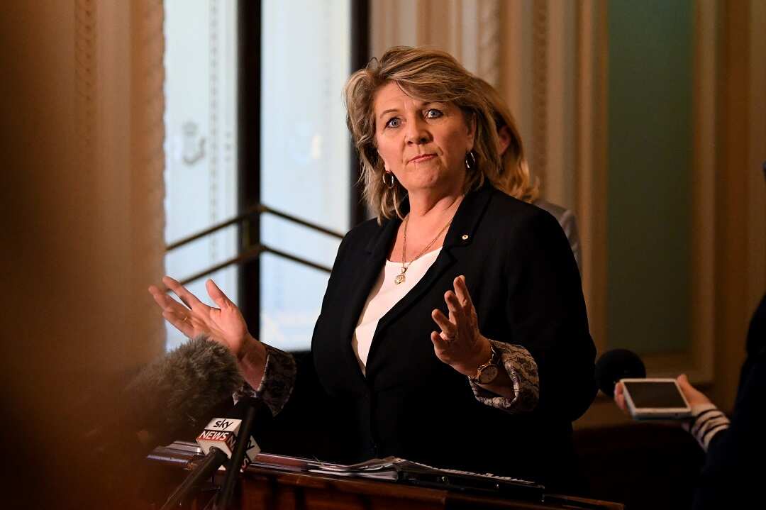 Founder and executive chair of Bravehearts Hetty Johnston has described the proposed national register as a political stunt. 