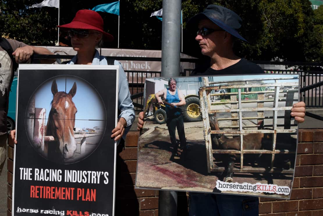 New revelations of cruelty in Australia's horse racing industry have prompted widespread outrage. 