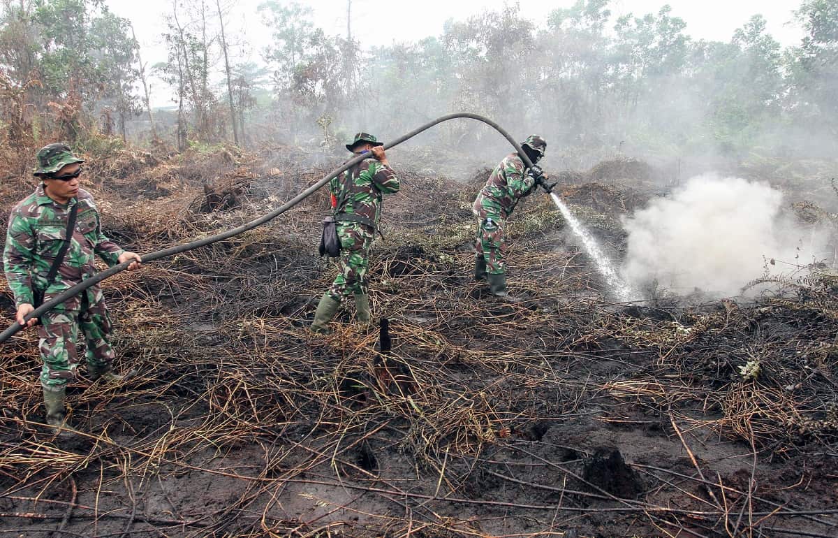 According to media reports, firefighters, military personnel and water-bombing helicopters have been deployed to douse intense forest fires in Sumatra and Borneo that may impact neighboring countries (Singapore, Malaysia and Thailand) with smoke.