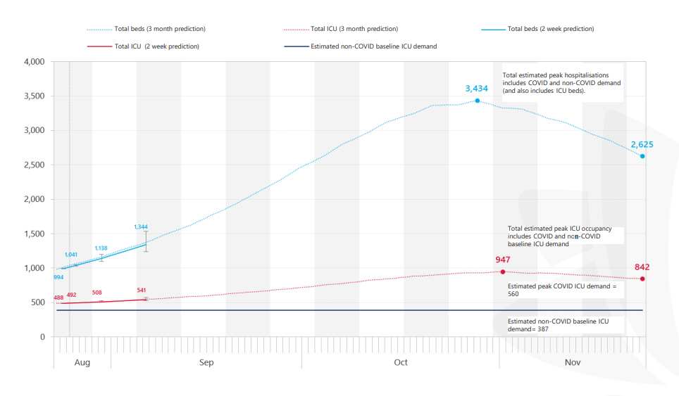 The Burnet Institute anticipates between 2,200 and 3,900 people will require hospitalisation.