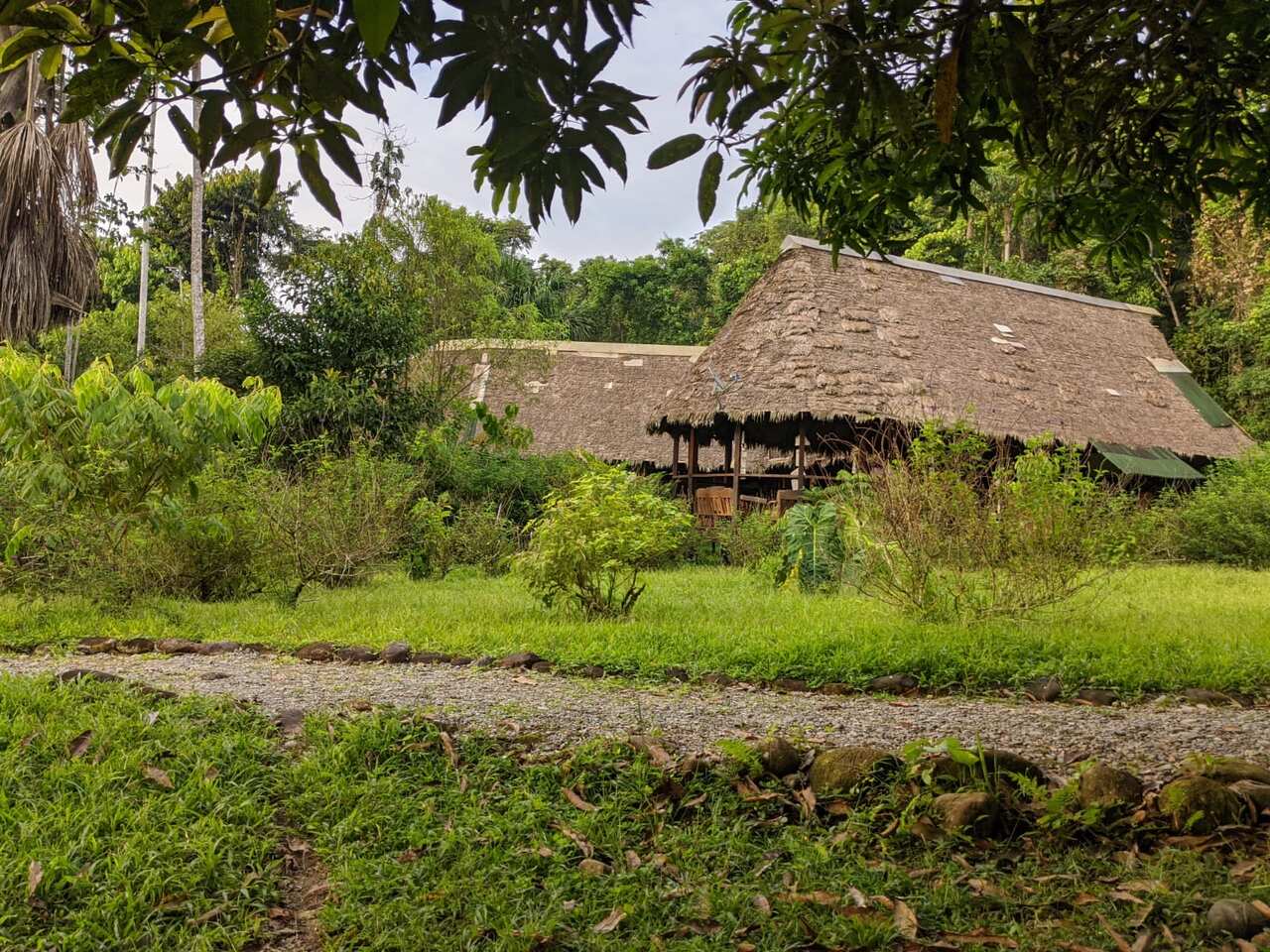 The remote lodge in the Amazon where Ms Clark and other researchers are trapped.