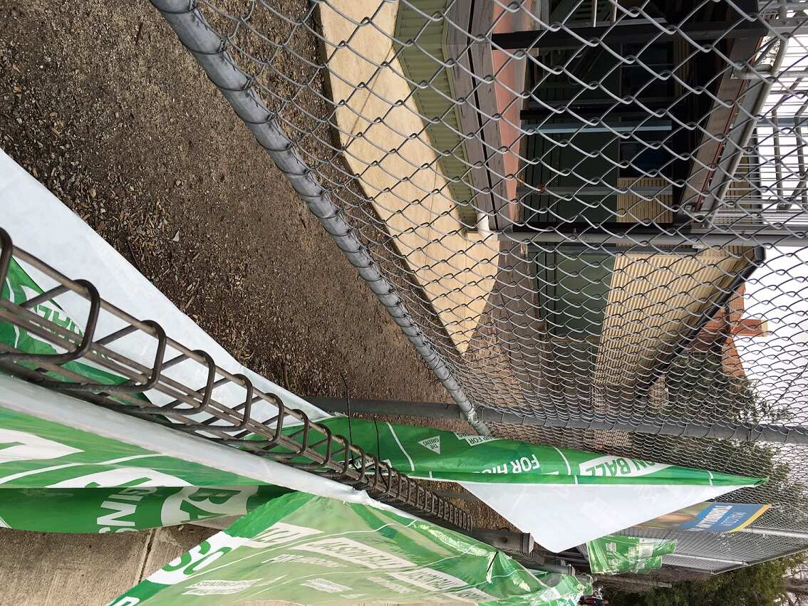 Greens campaign posters the party claims were torn down after an alleged biting incident.