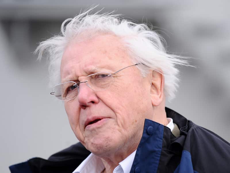 David Attenborough.