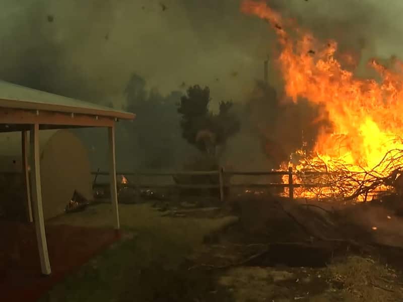 Video footage from a Parks and Wildlife truck