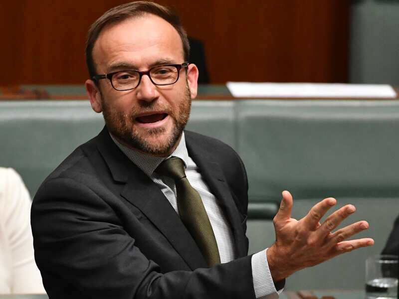 Greens MP Adam Bandt.