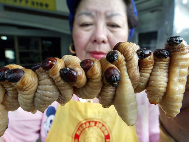 food_insects_130514_getty_778147745