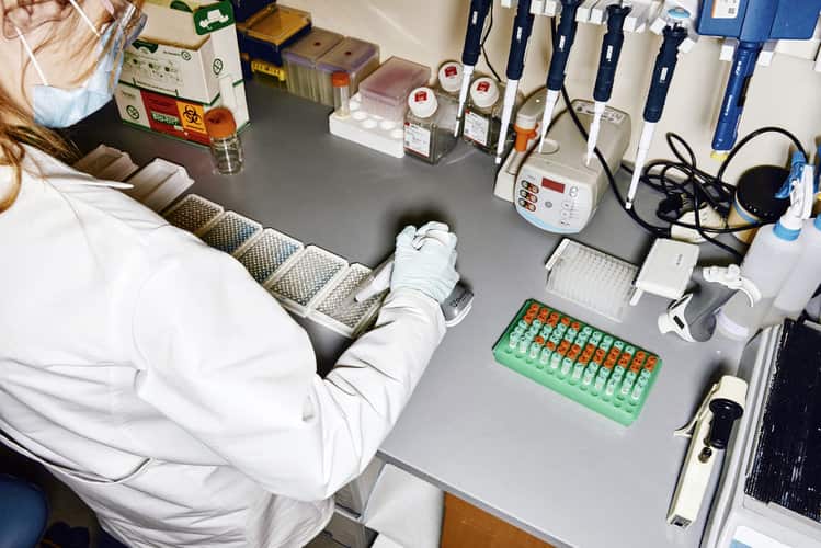 Prototype Vaccine Protects Monkeys From Coronavirus