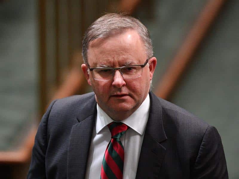 Anthony Albanese during Question Time in the House of Representatives