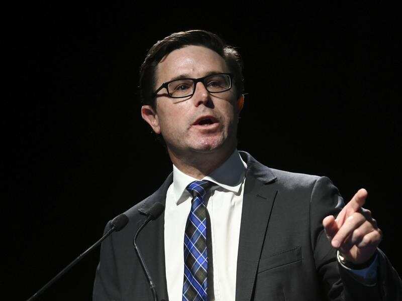 Natural Disaster Minister David Littleproud.