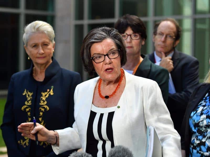 Kerryn Phelps and Cathy McGowan