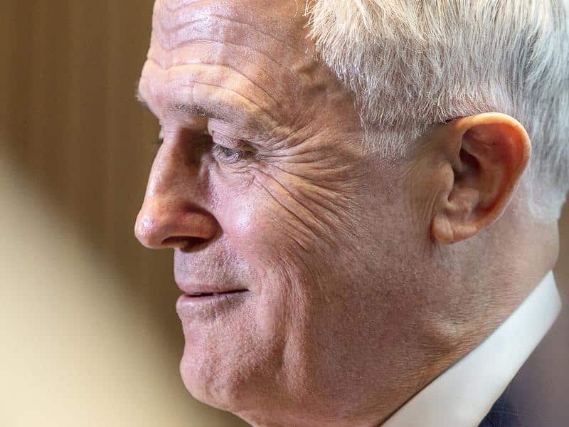 Malcolm Turnbull has backed the LNP candidate. 