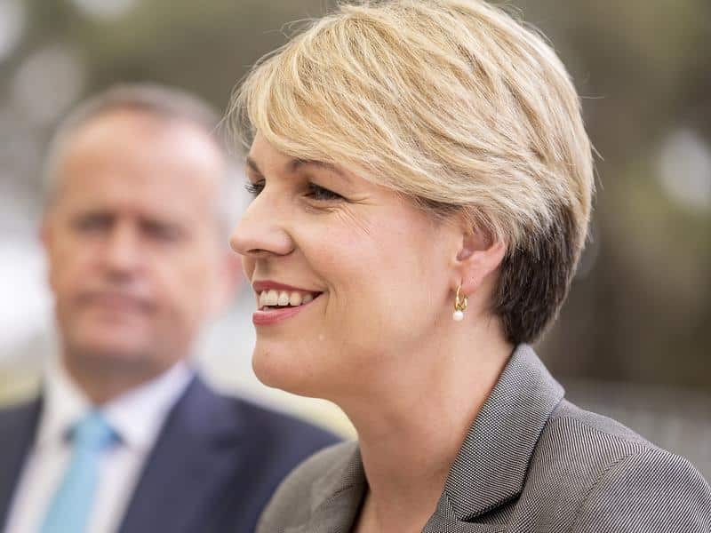 Deputy Opposition Leader Tanya Plibersek