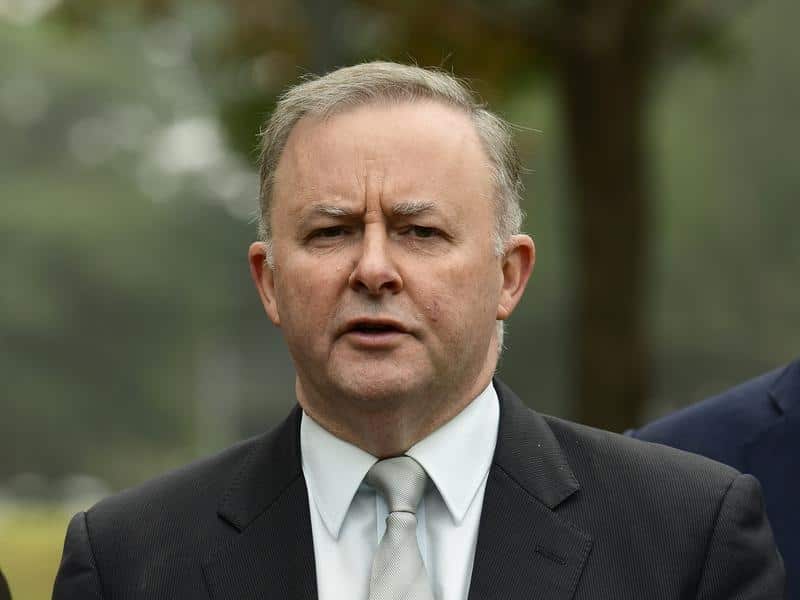 Labor Leader Anthony Albanese will move to expel high-profile union official John Setka from the ALP.