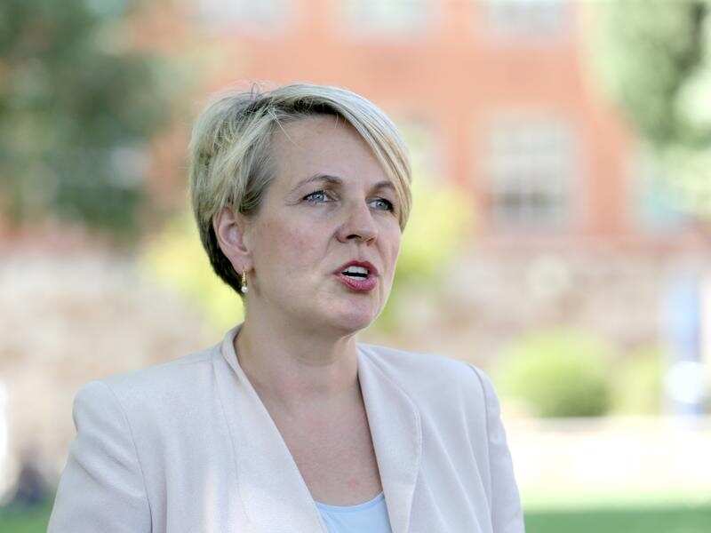 Deputy Labor leader Tanya Plibersek.