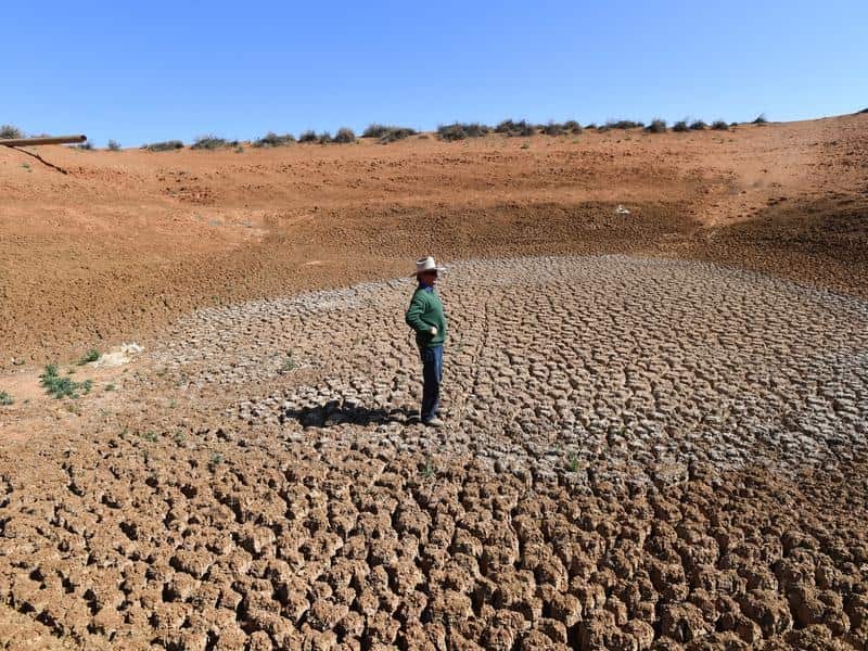 For drought-stricken farmers in parts of NSW, recent bursts of rain are not enough.  