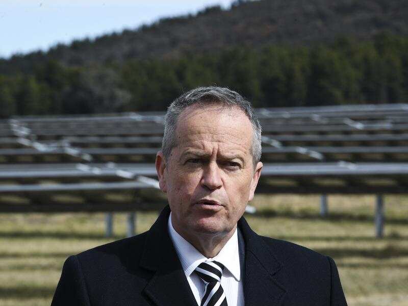 Opposition Leader Bill Shorten