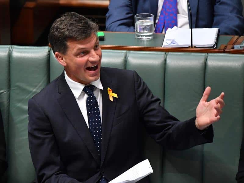 Federal Energy Minister Angus Taylor