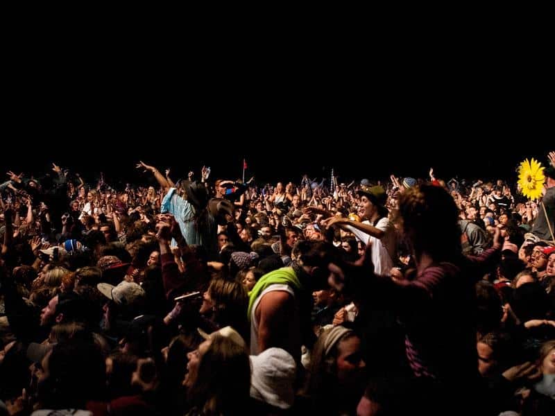 Music fans at the the Falls Festival in Victoria