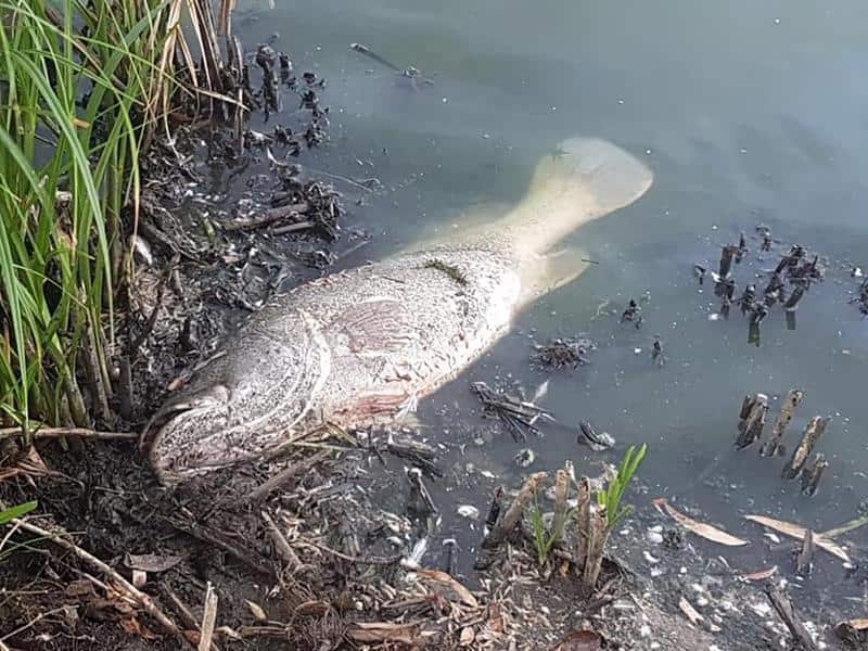 A water management expert is warning the department to take a longer-term approach. 