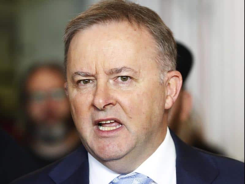 Labor's Anthony Albanese said the government was now openly talking merger plans.