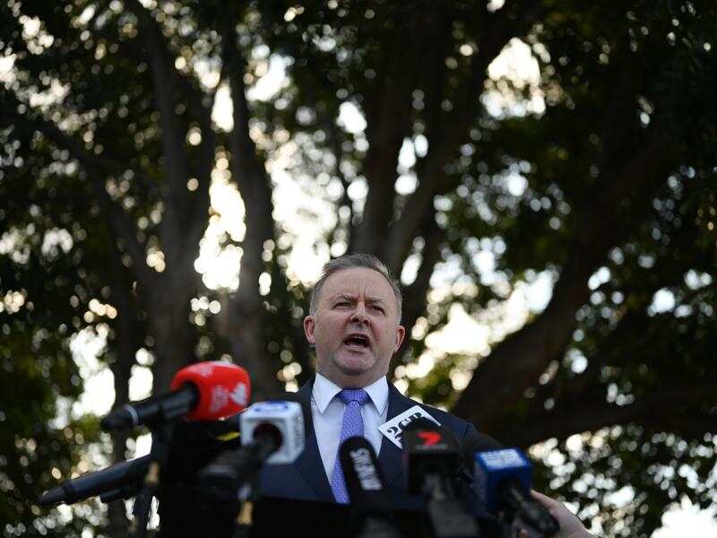 Labor leader contender Anthony Albanese speaks to the media in Sydney.