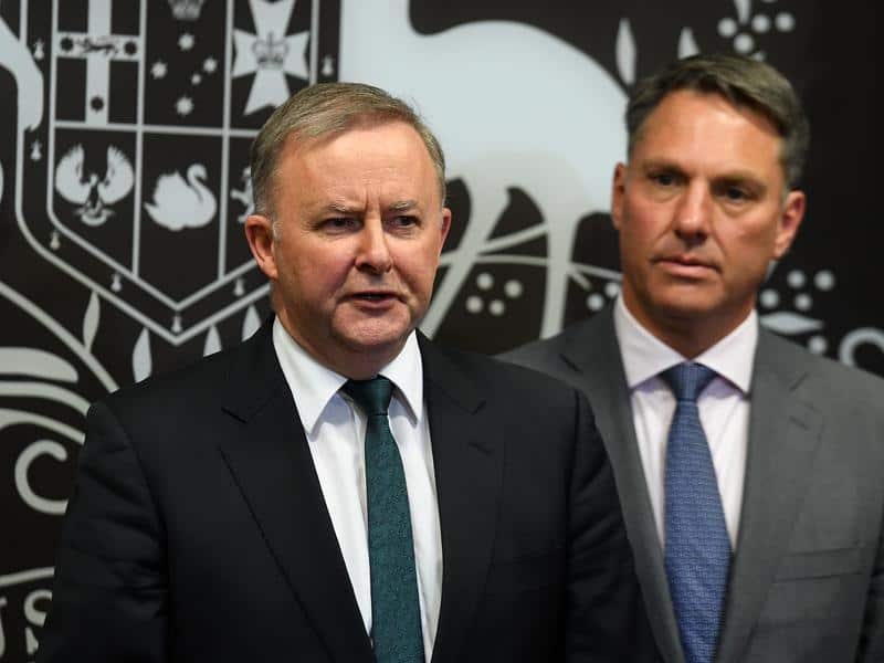 Labor leader Anthony Albanese and deputy Richard Marles.