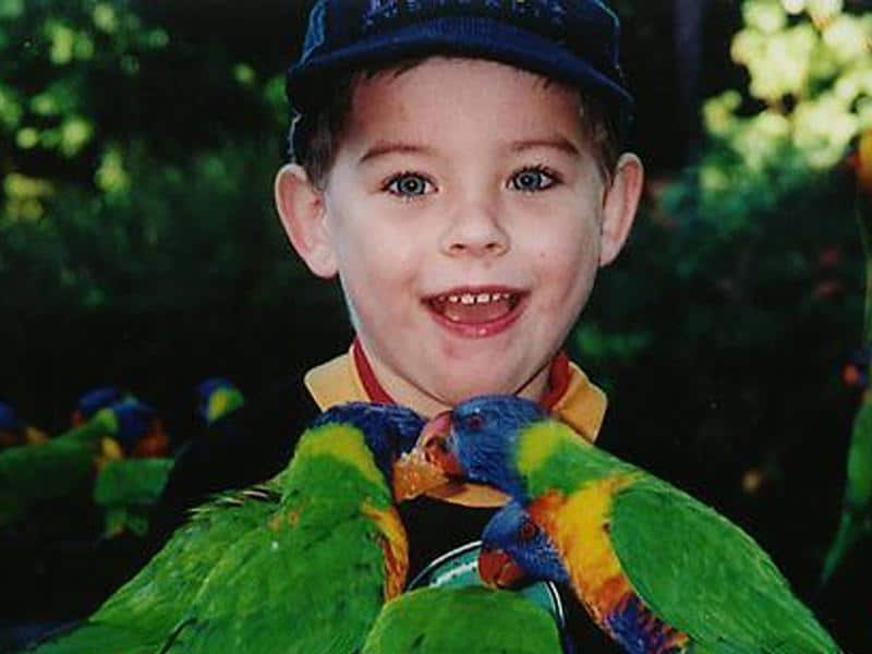 Daniel Morcombe (file image)