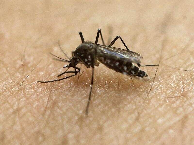 The roll-out of the vaccine has begun in Malawi.