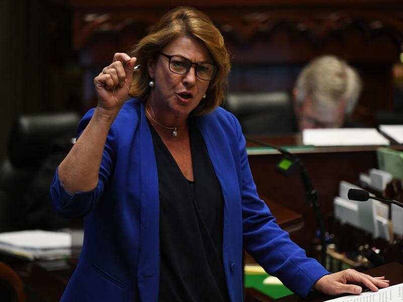 NSW minister Melinda Pavey (file image)