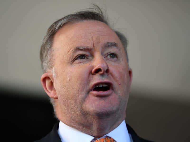 Labor's Anthony Albanese released a statement with Tony Burke, Jason Clare and Michelle Rowland.
