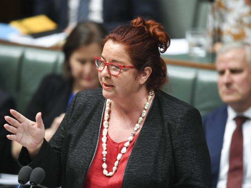 Environment Minister Melissa Price in parliament.