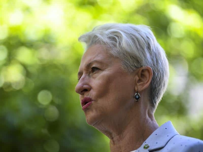 Independent Kerryn Phelps says pre-poll voting should be restricted to one week, not three weeks. 