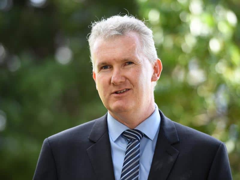 Labor fears cashless welfare cards will just make life tougher for those already struggling. 