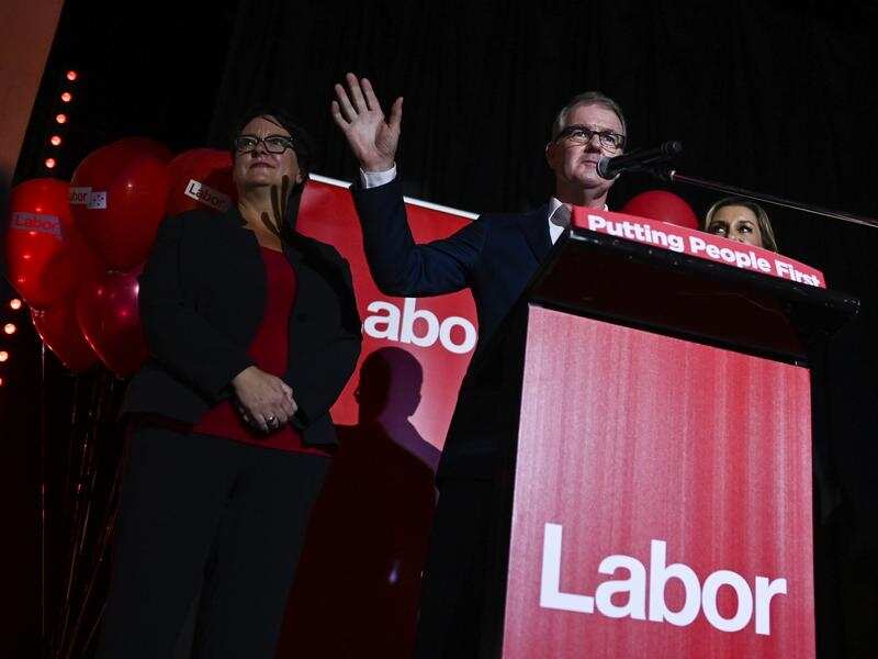NSW Labor leader Michael Daley concedes defeat in the state election.