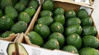 avocados in a box