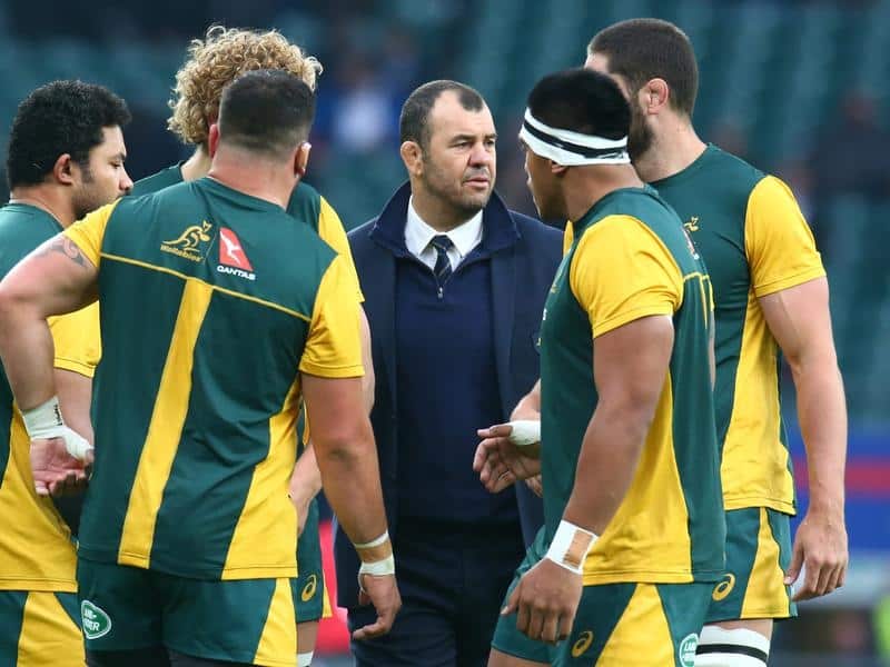 Wallabies coach Michael Cheika.