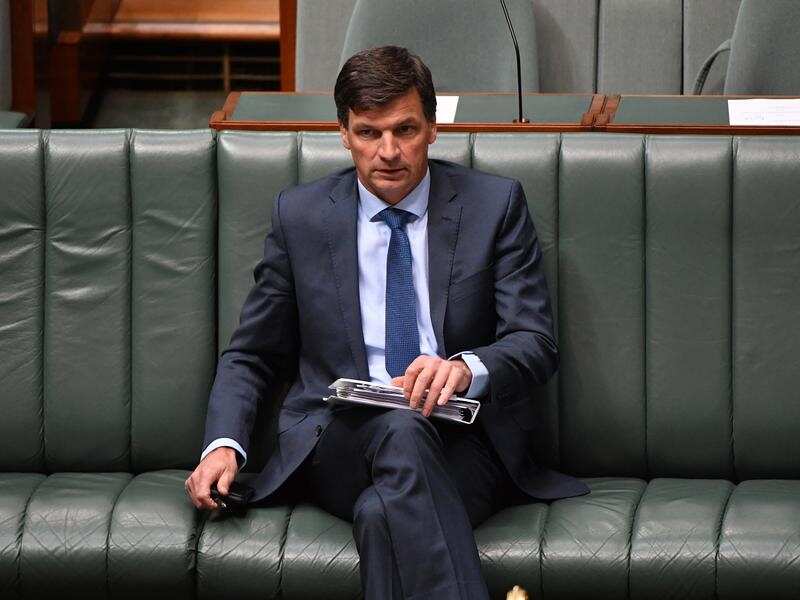 Labor has referred Angus Taylor to the NSW police over an allegedly false document provided to a newspaper.