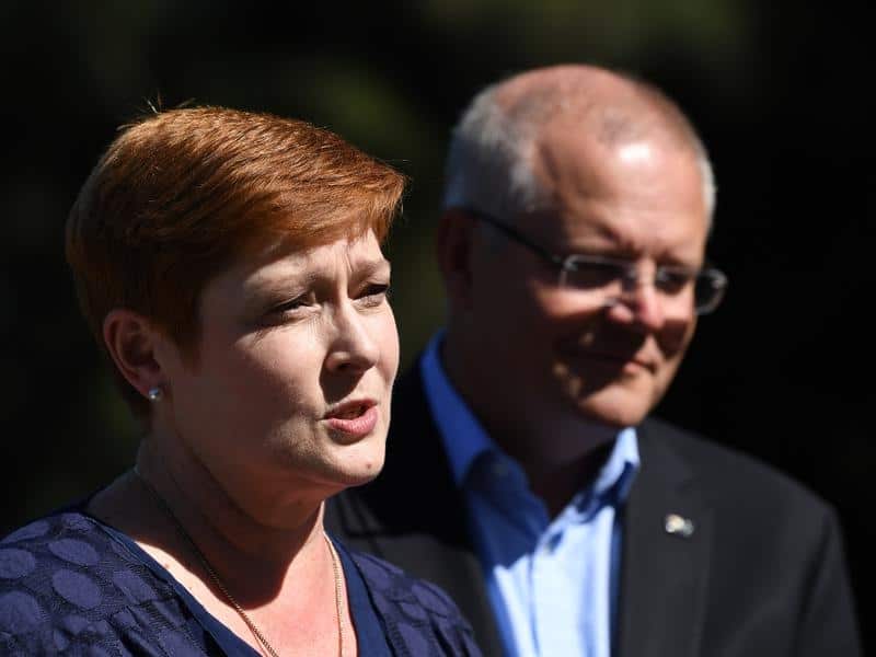 Marise Payne has called for calm.