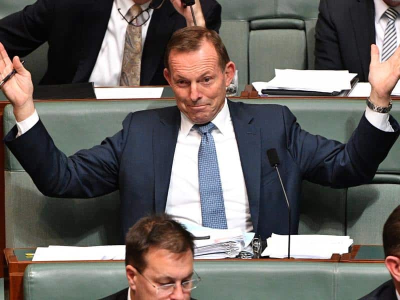 Former prime minister Tony Abbott during Question Time last week.