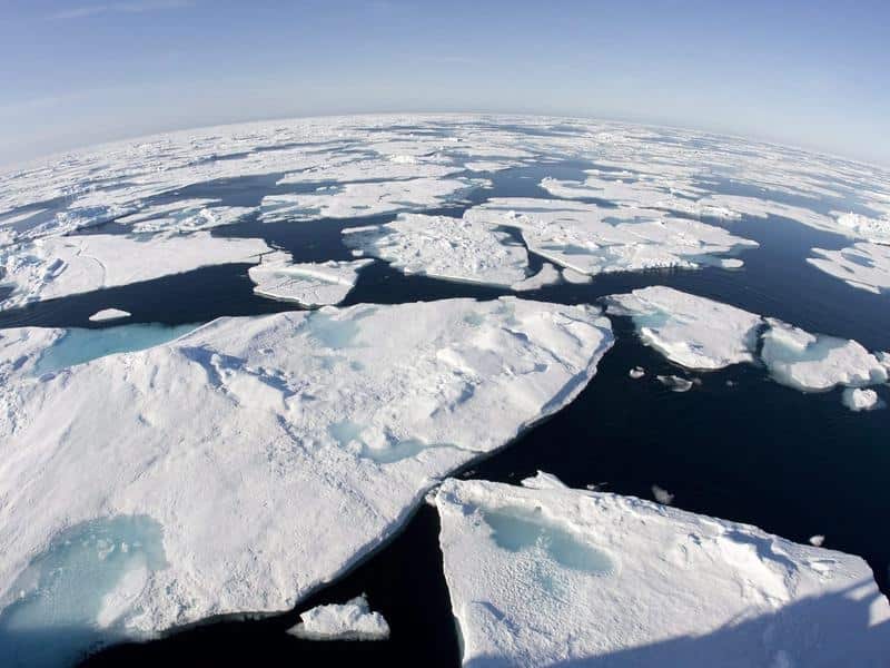 Ice floes floats at sea.