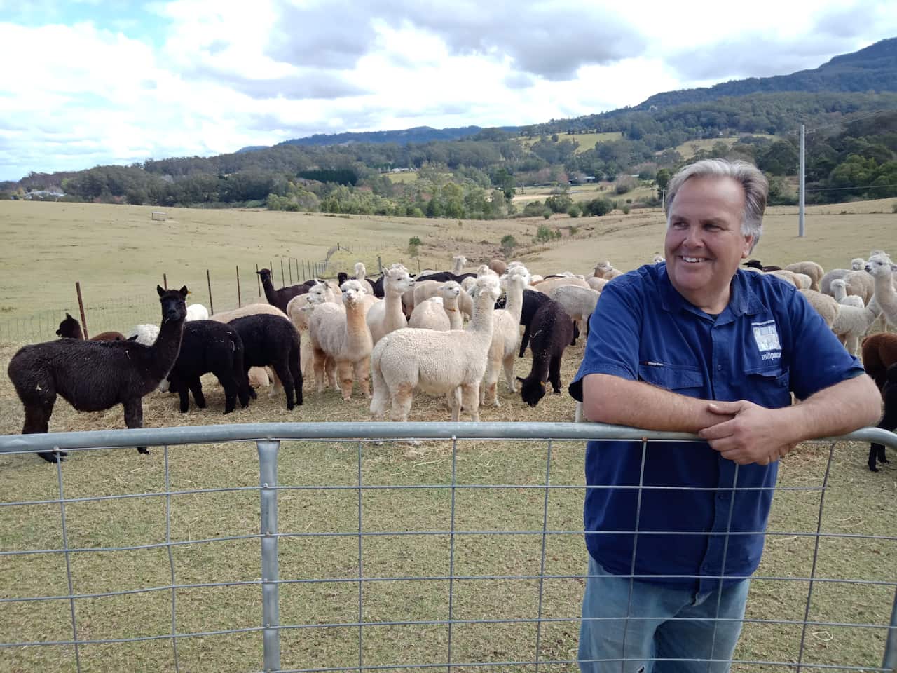 Alpaca farmers struggle under unprecedented drought
