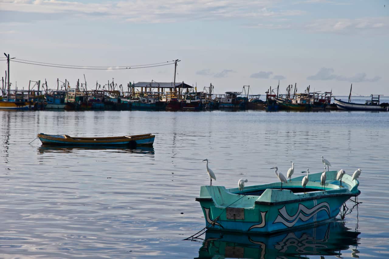 Around 300,000 people were displaced by the final stages of Sri Lanka's civil war