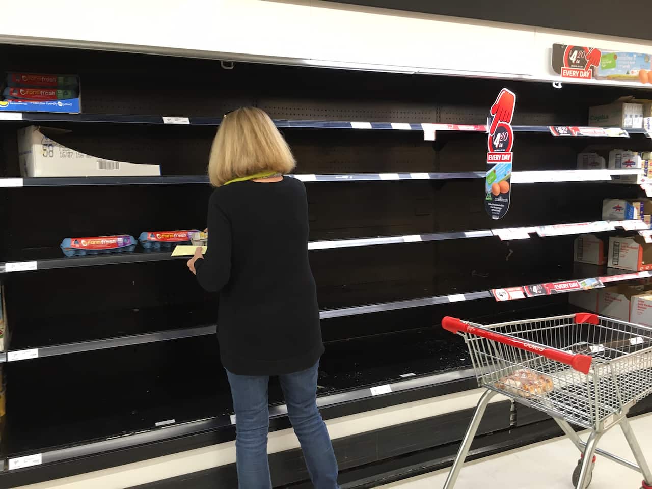 Empty shelves at a Coles in Forestville, Sydney, on Thursday June 9. (SBS)