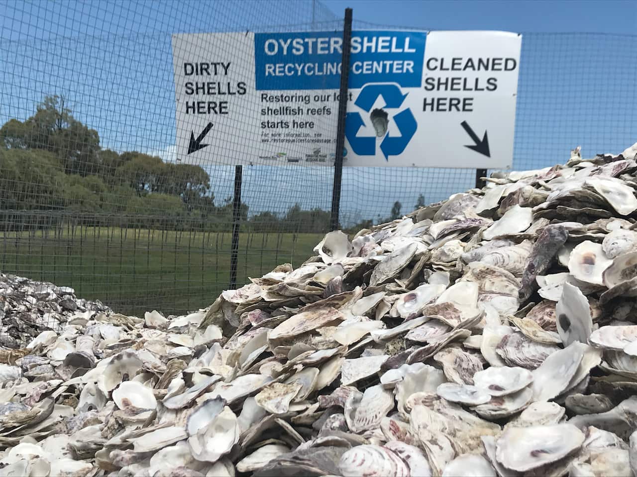 Oyster recycling 